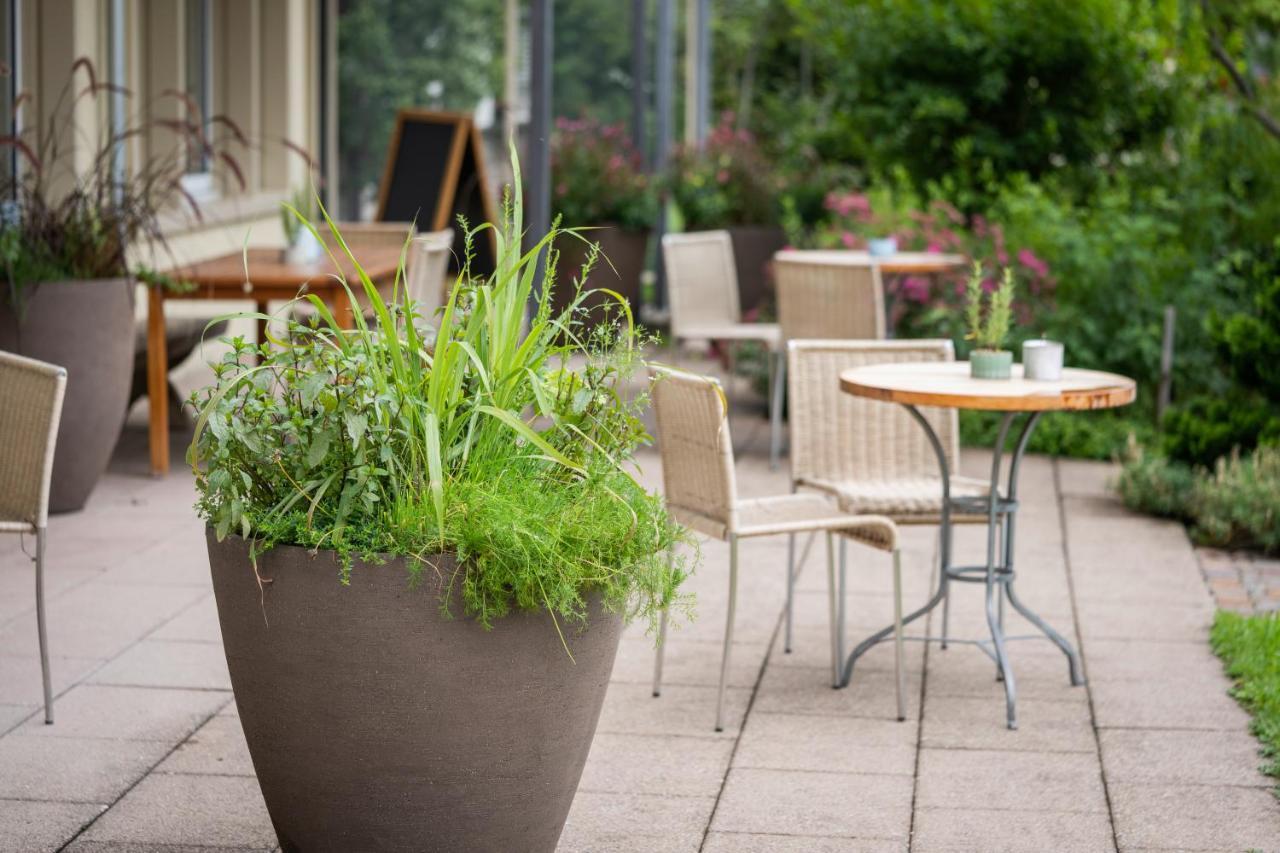 Vegan Health Hotel Sonnenberg Glutenfrei Schwellbrunn Luaran gambar